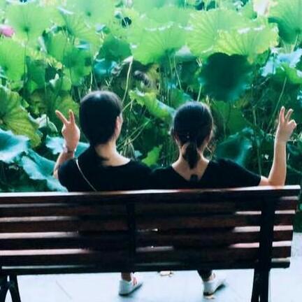 落花有意