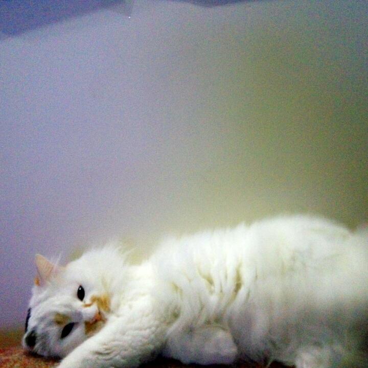 有点意思室内设计