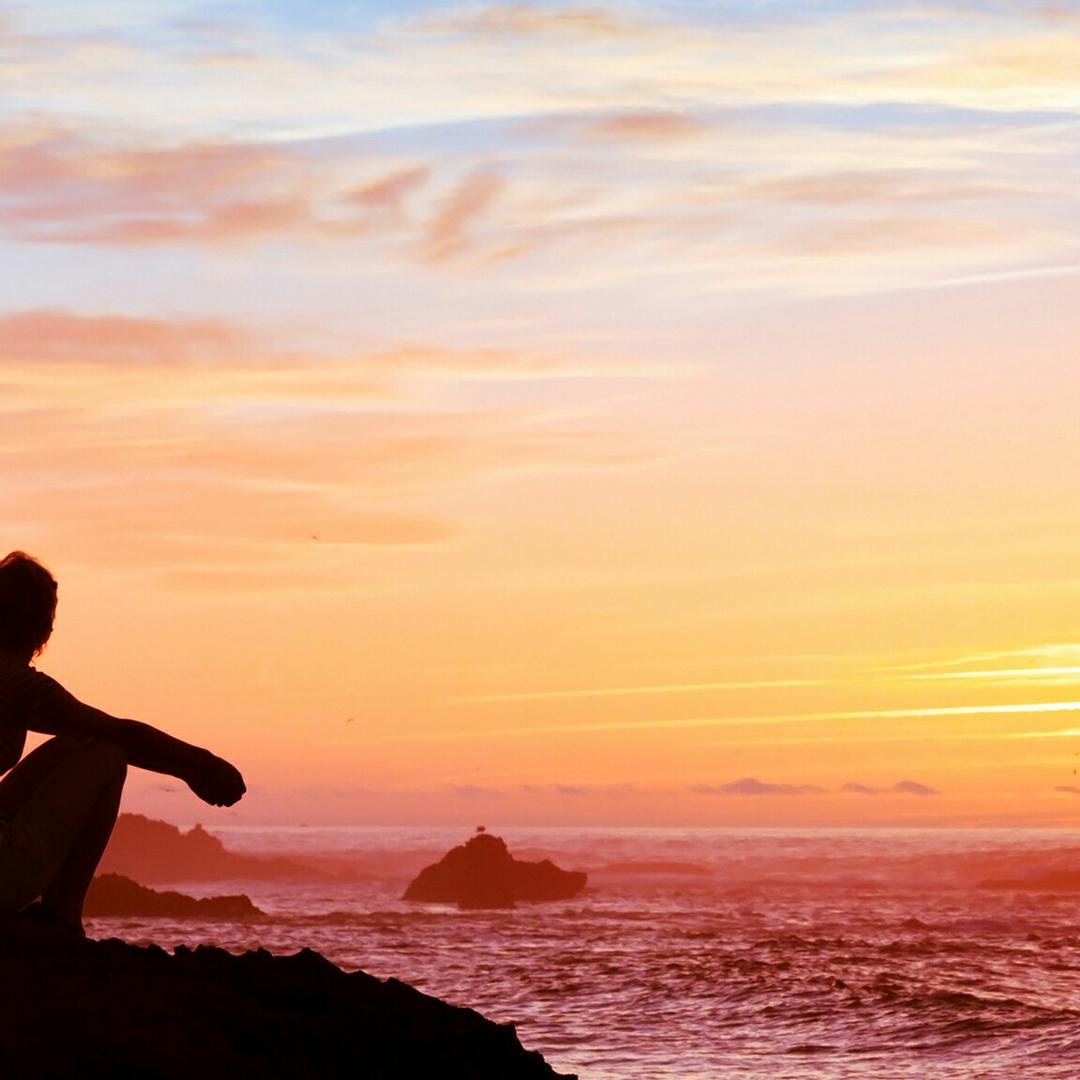 阳光下的微笑🕷