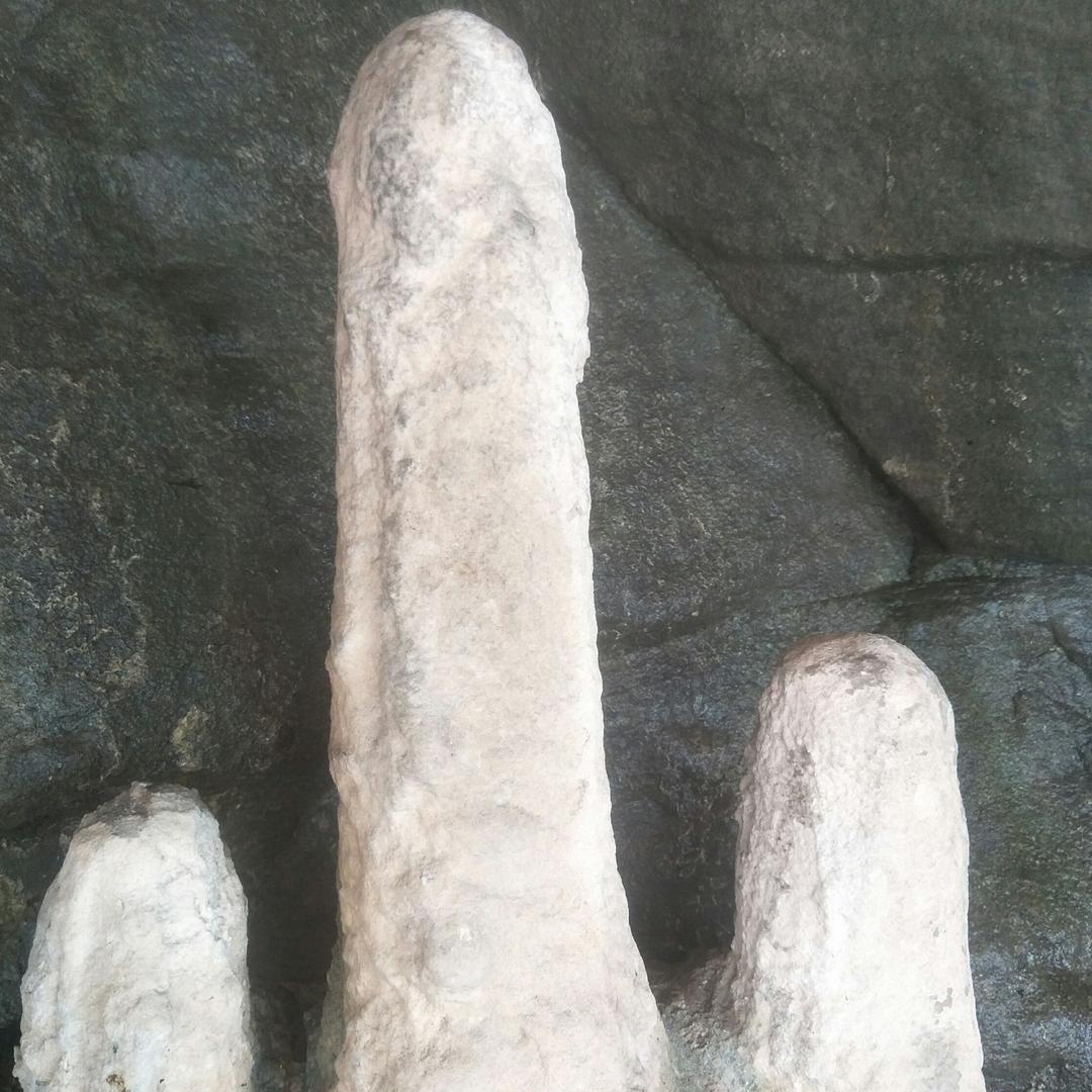 焦作田牧科技有限公司