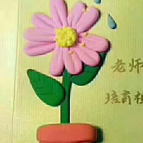 B冰花