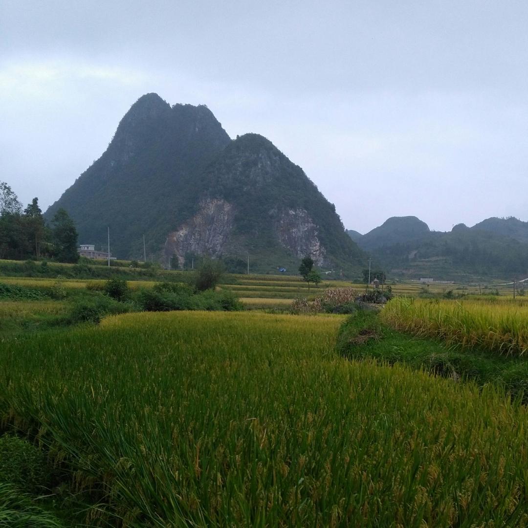 水族人家的姑娘