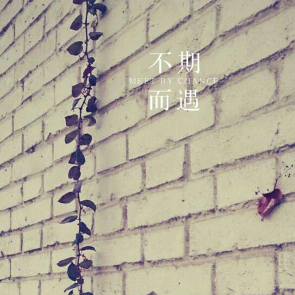 梦似流年
