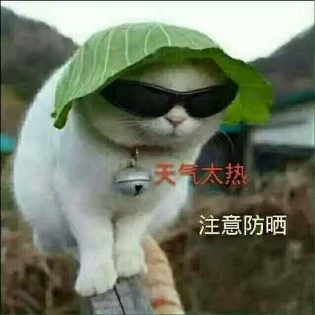 一切随缘_216493855
