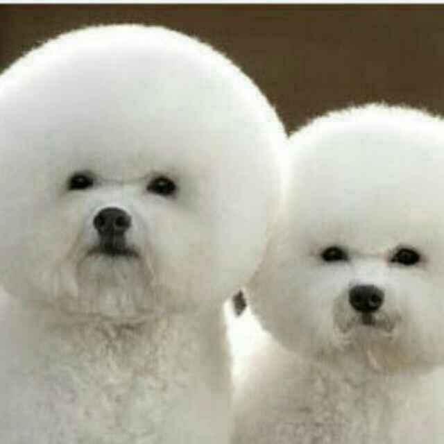 不再年少
