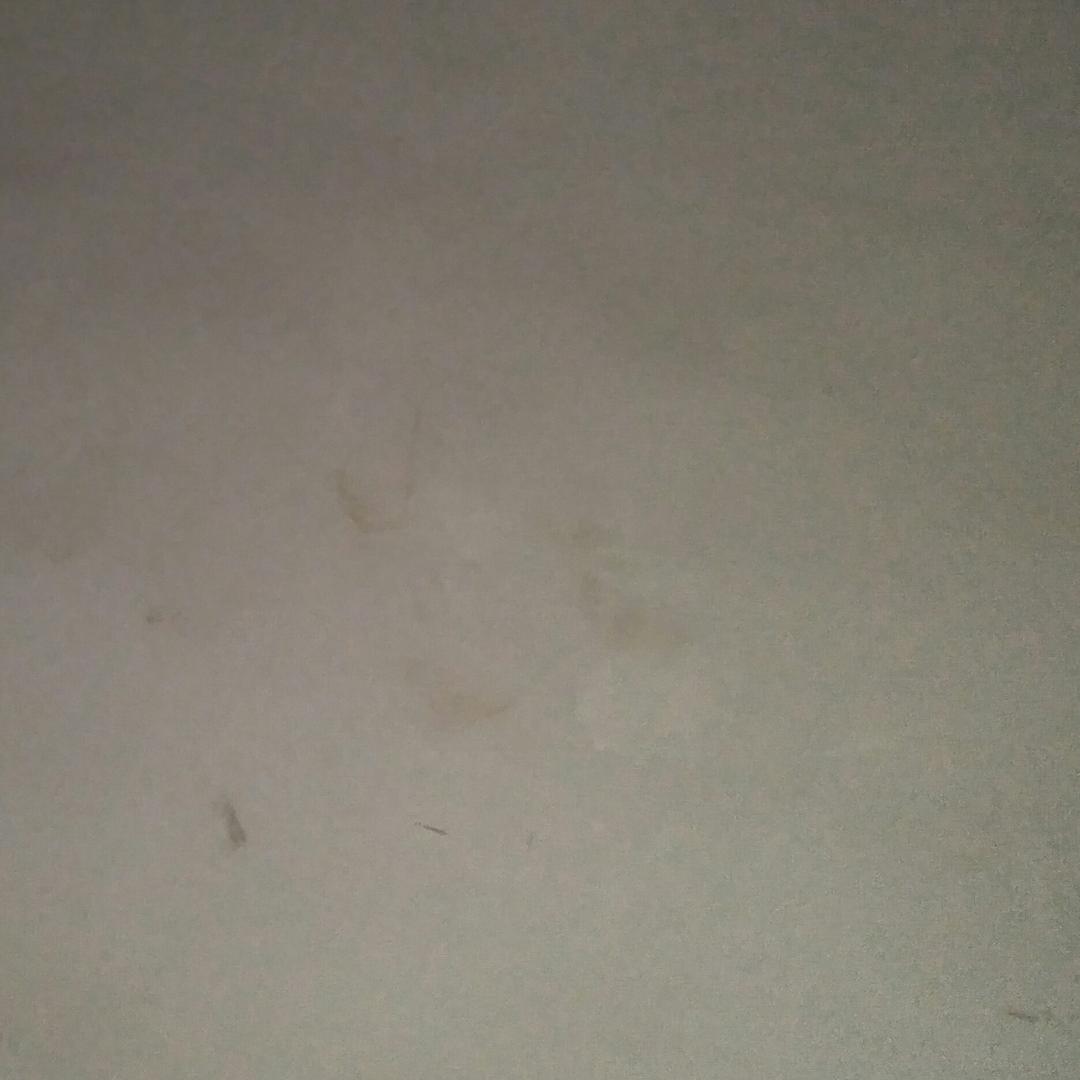 老王