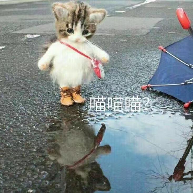 A     sunnyday
