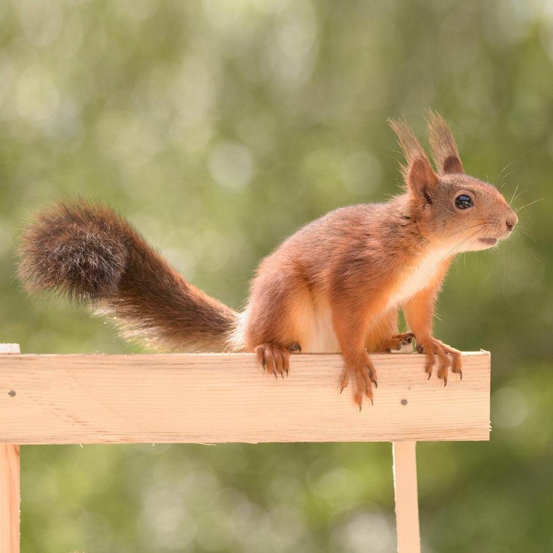 随风飞扬的心情