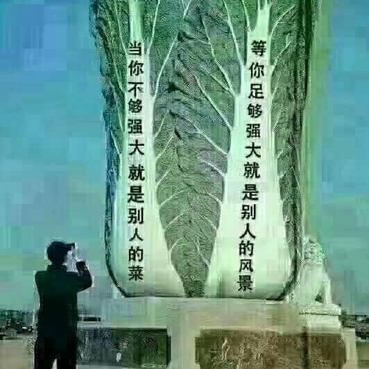 顺其自然，