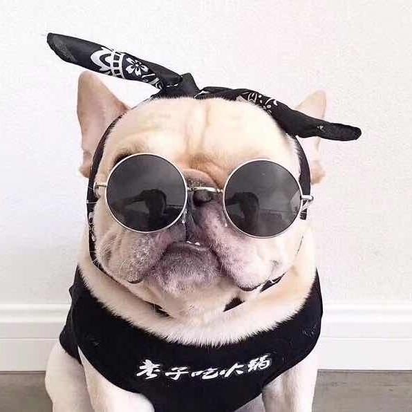 失误万花筒