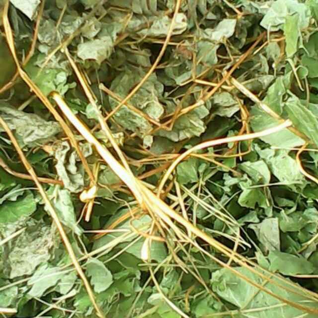 互盈中药材13830851187