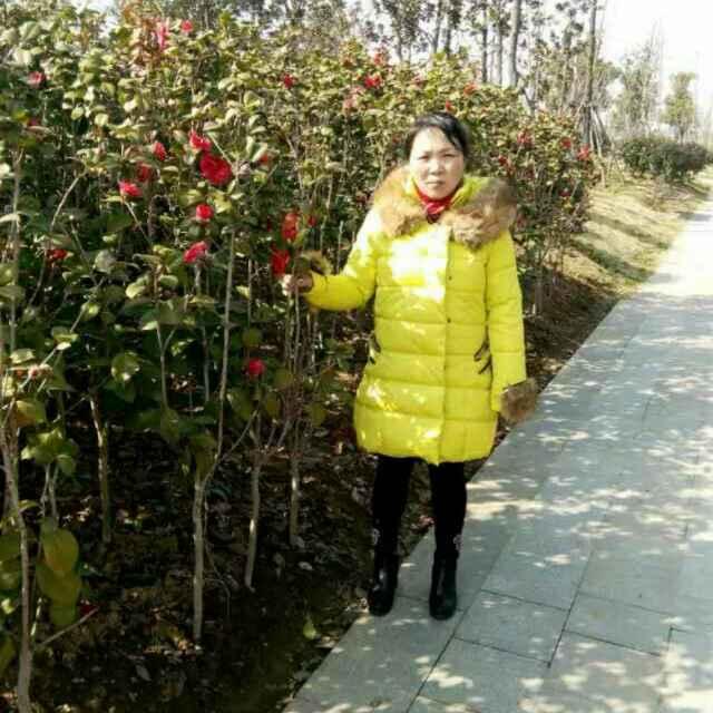 久阳大名69.10一105206127