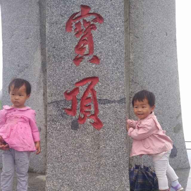 飞飞T