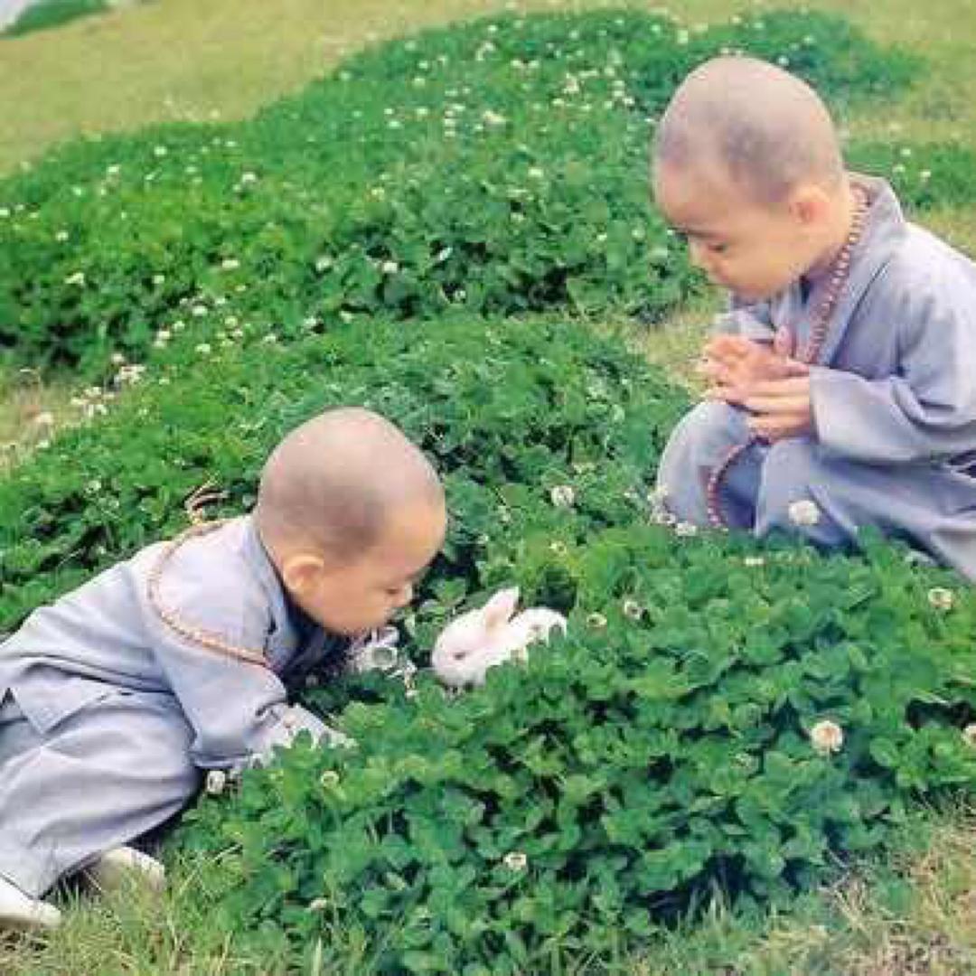 노랑후드 귀요미🐥