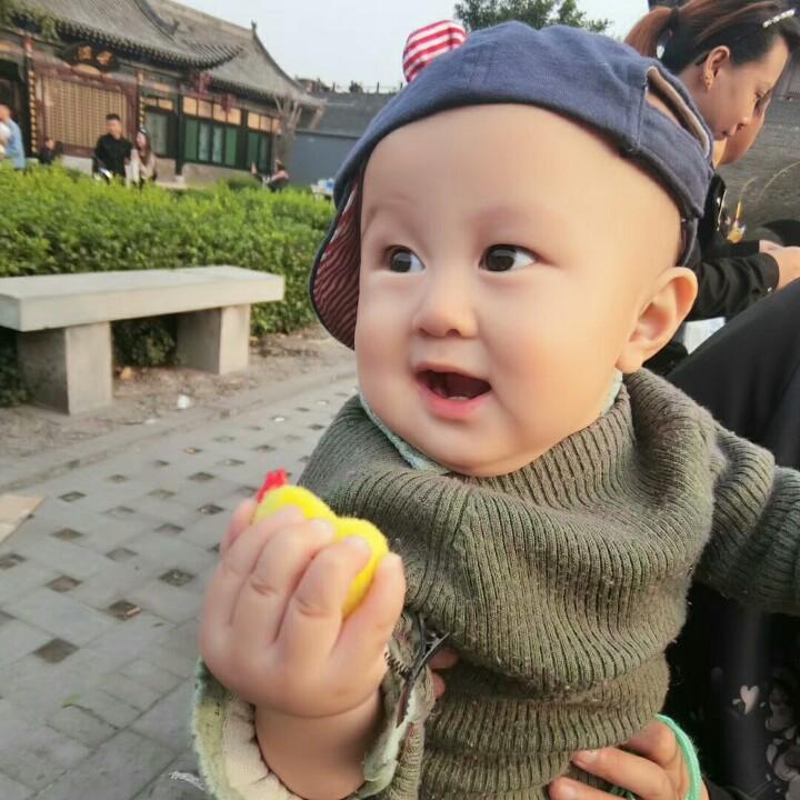 狐狸想成精