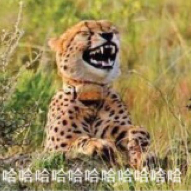 亿力健身石桥广场店