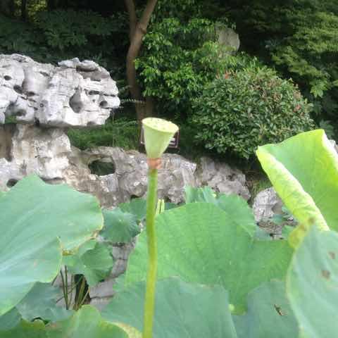 梦想成真_236929399