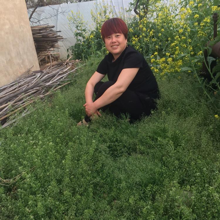 自由的飞翔