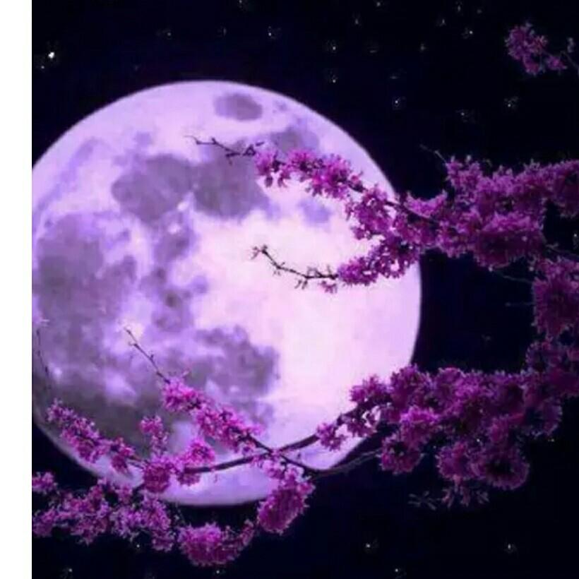 雨梦💞