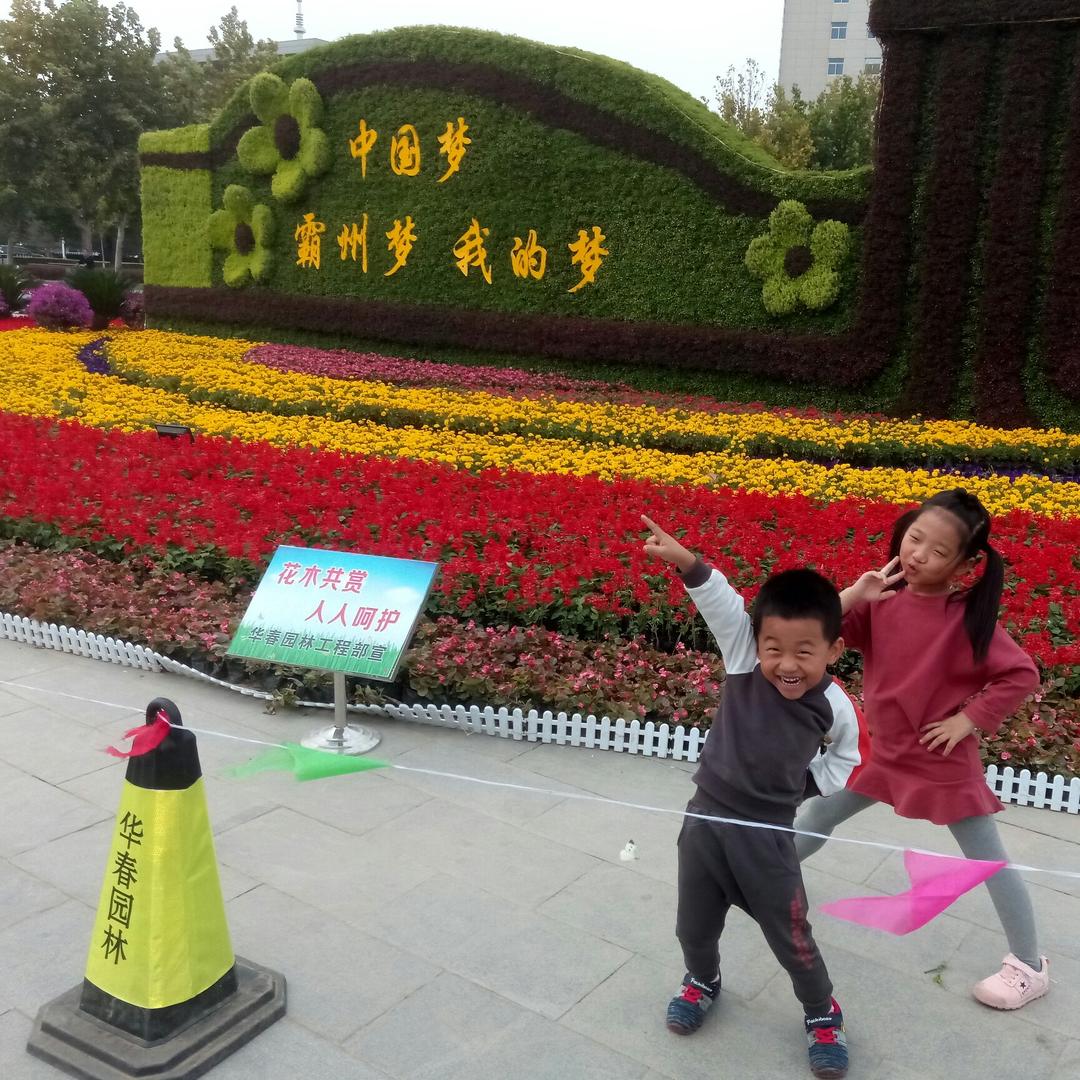 从小喜欢小动物