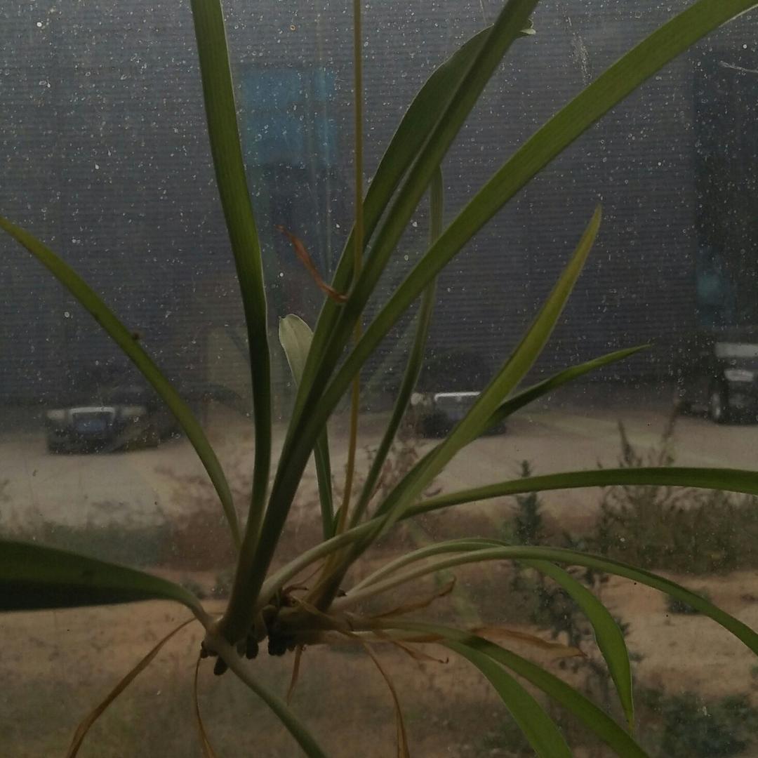 在意今朝