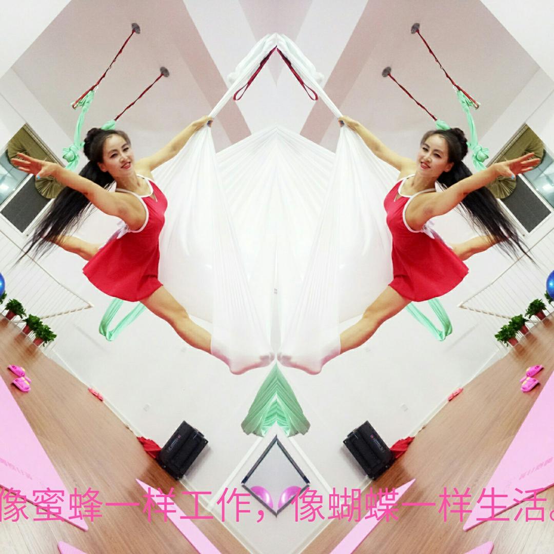 🌸美洋洋老师🌸