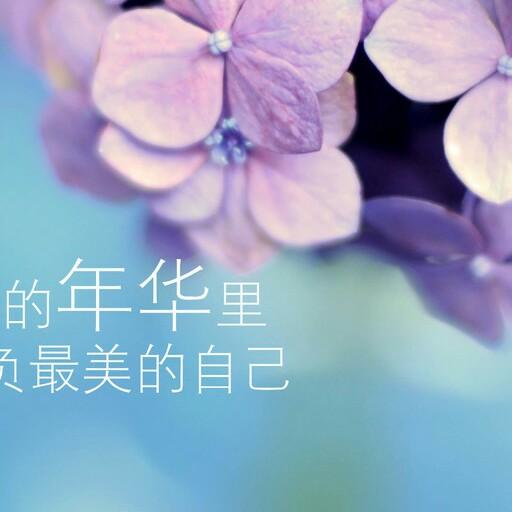 英雄无悔啊