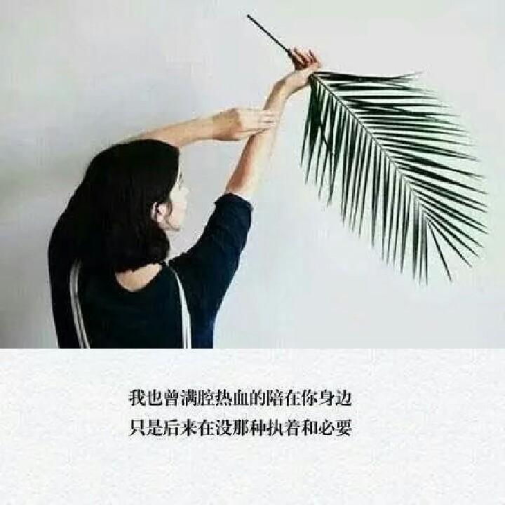 愿我嫁给爱情.