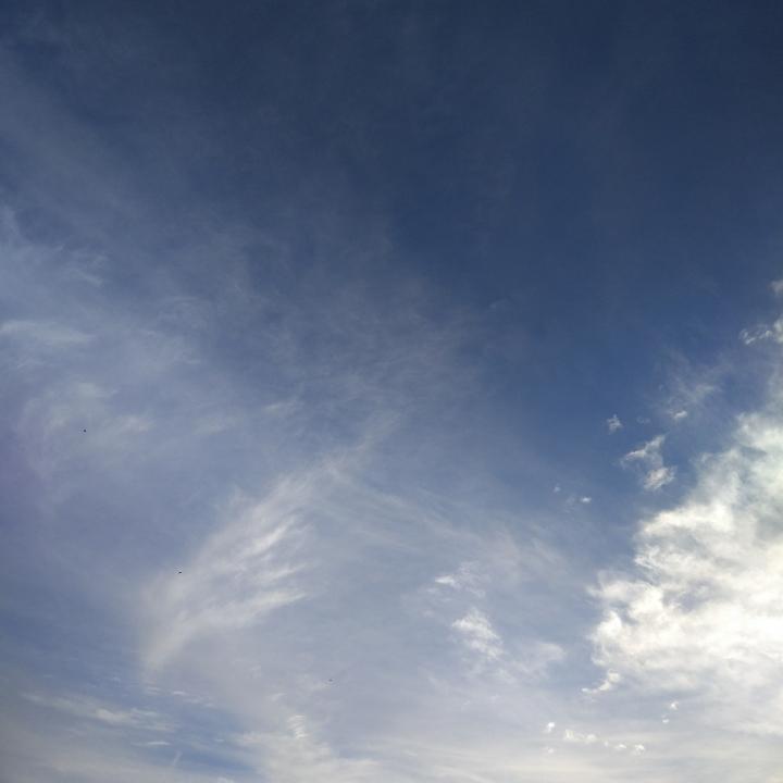 虚空老鹰