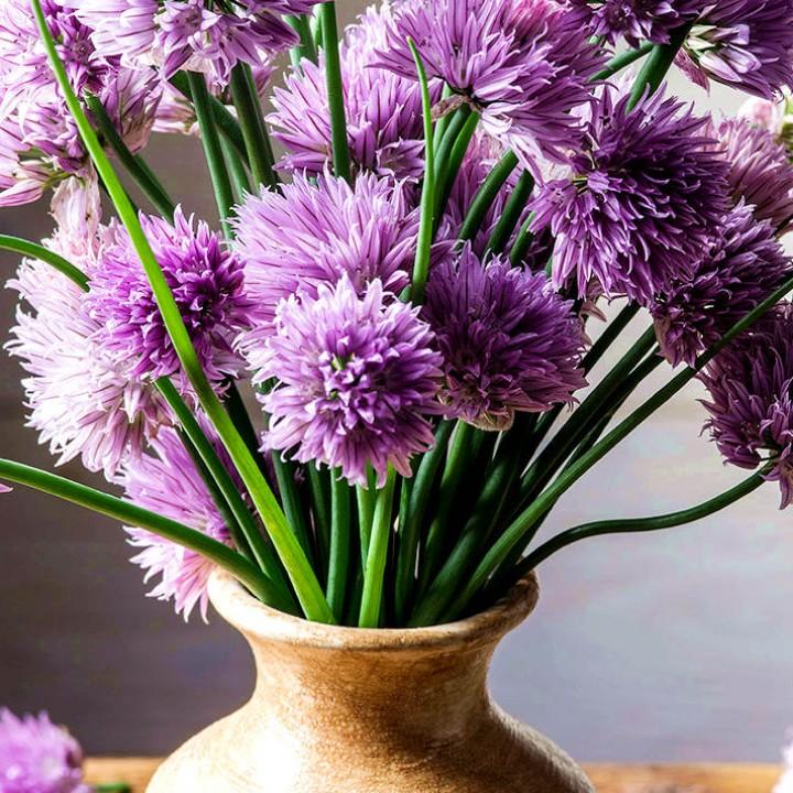 只为你的微笑像花儿