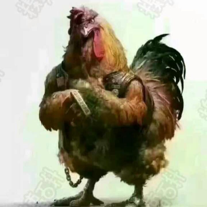 火焱