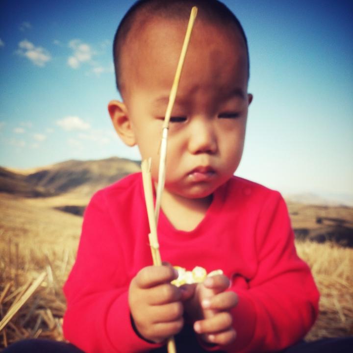 无可後飞