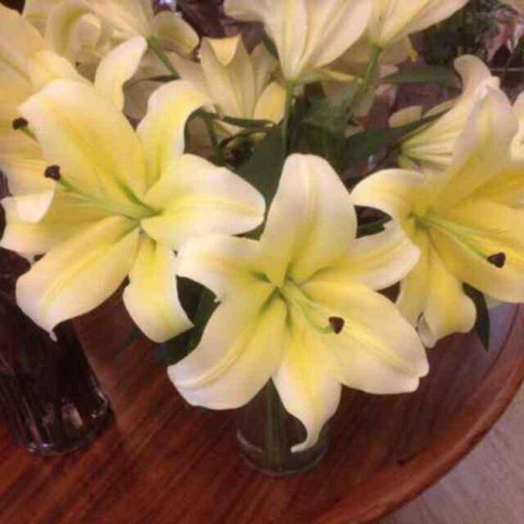 天凉了～宇🌈🌈