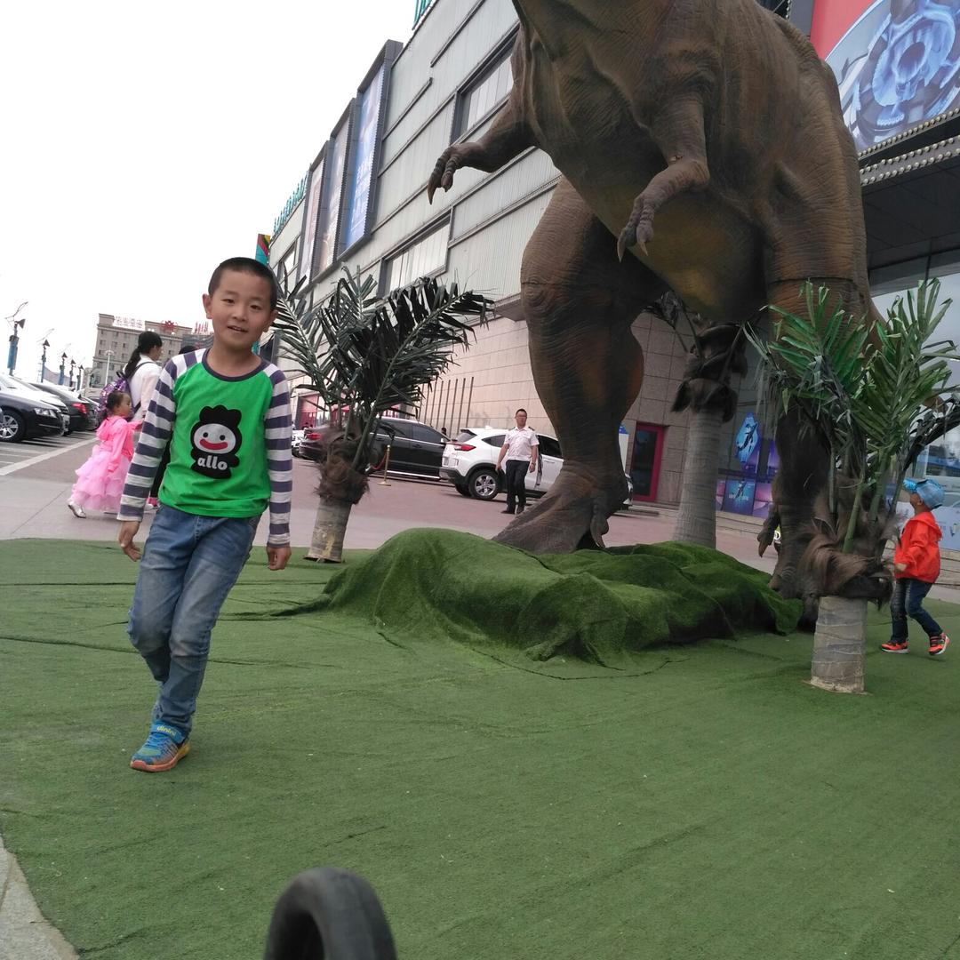 银浪百合电脑家电炉具维修