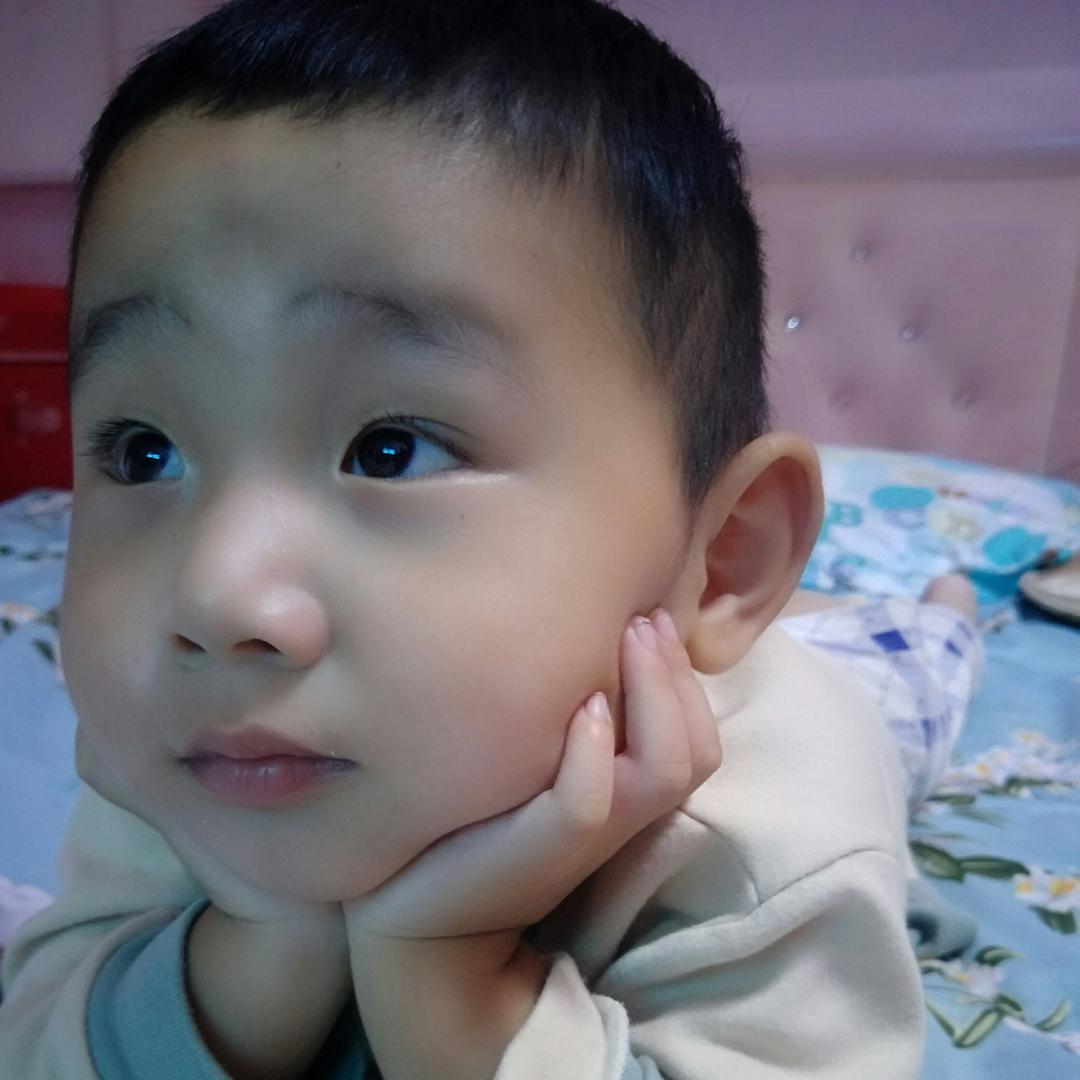 好鑫情花卉园艺