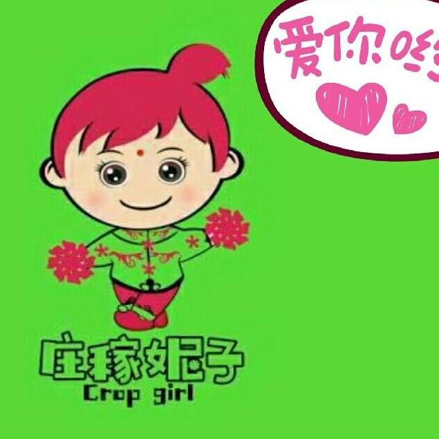 庄稼妮儿之梦