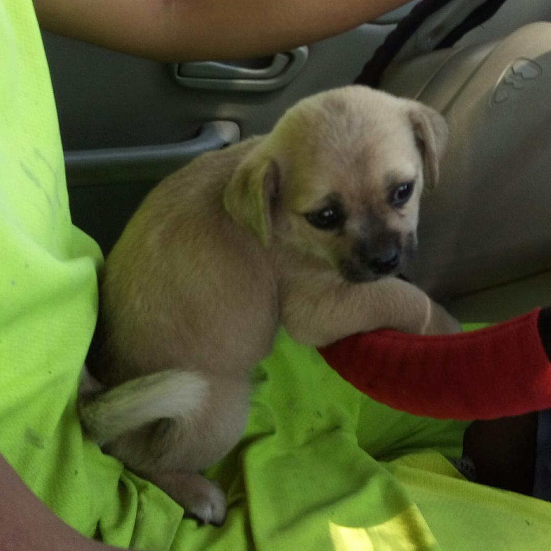 生活靠自己的双手