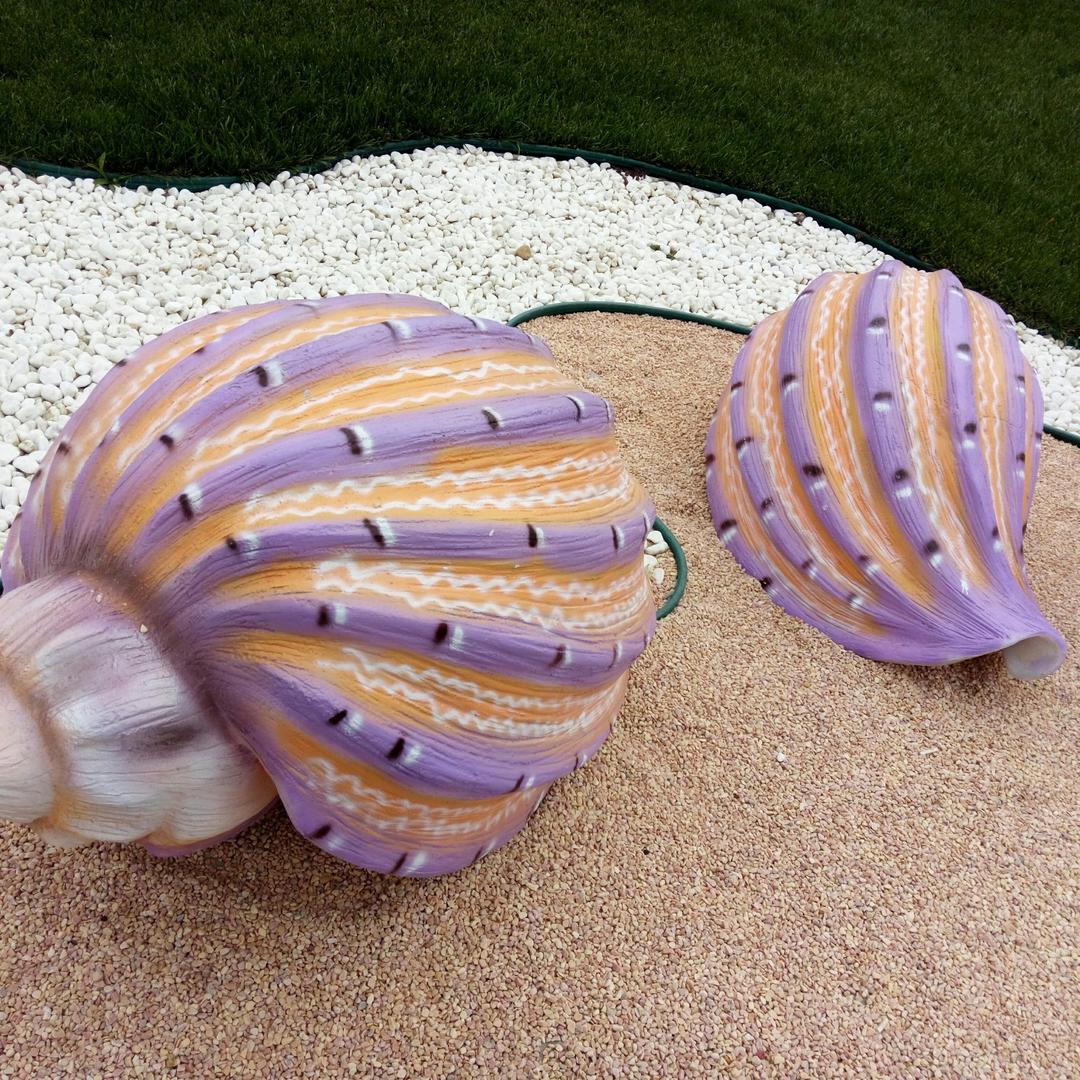 阳光（寻找棕泰迪）