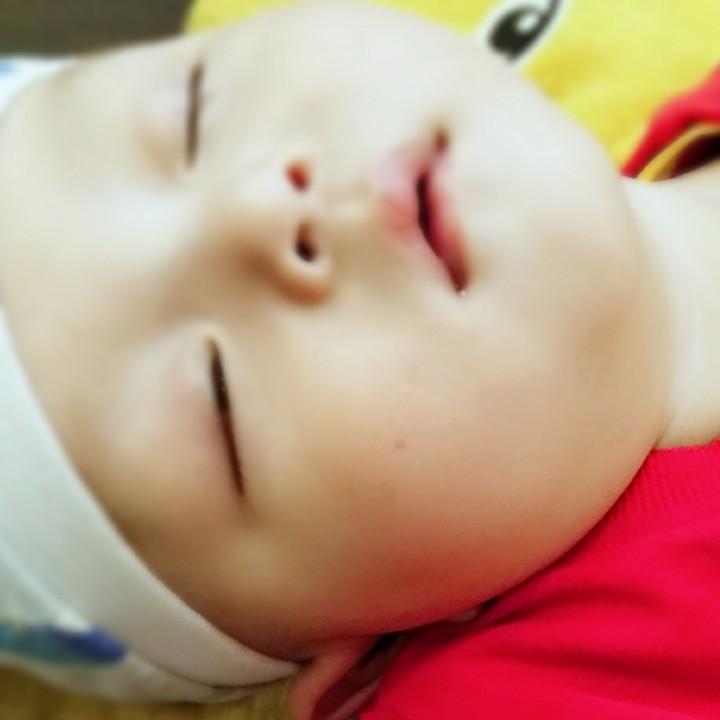 虾米