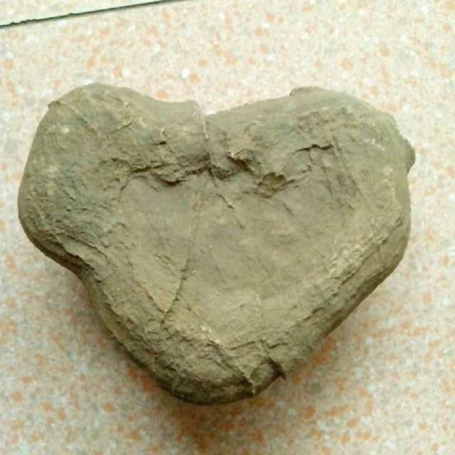 奇石我很在乎你