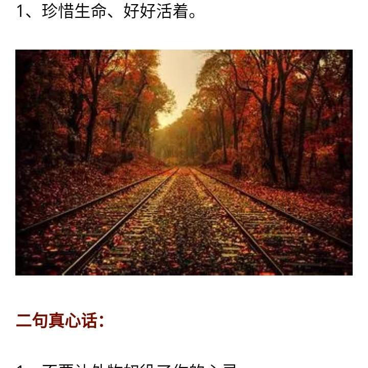 齐德龙🌺