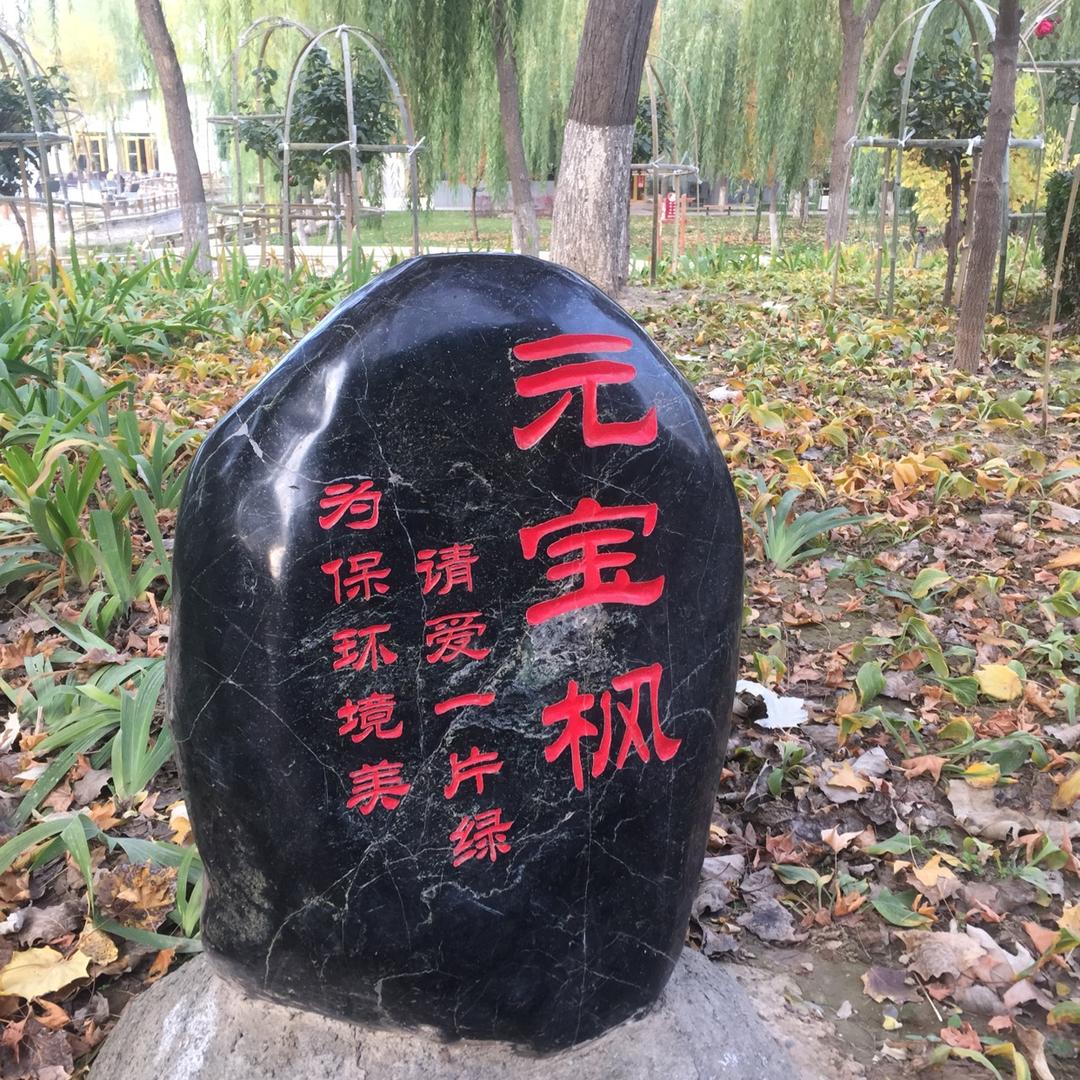 龙争-