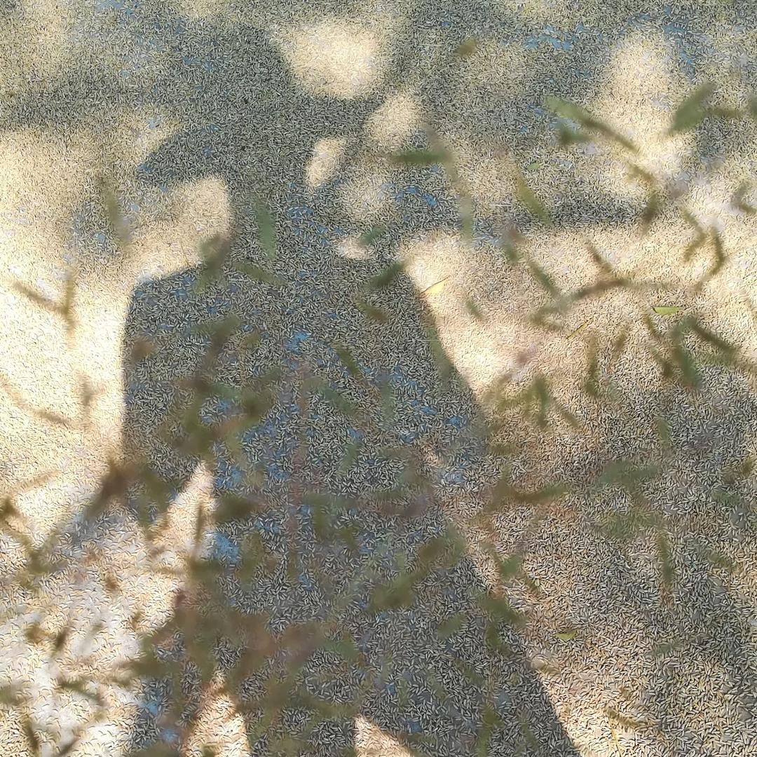 乡野啊杰
