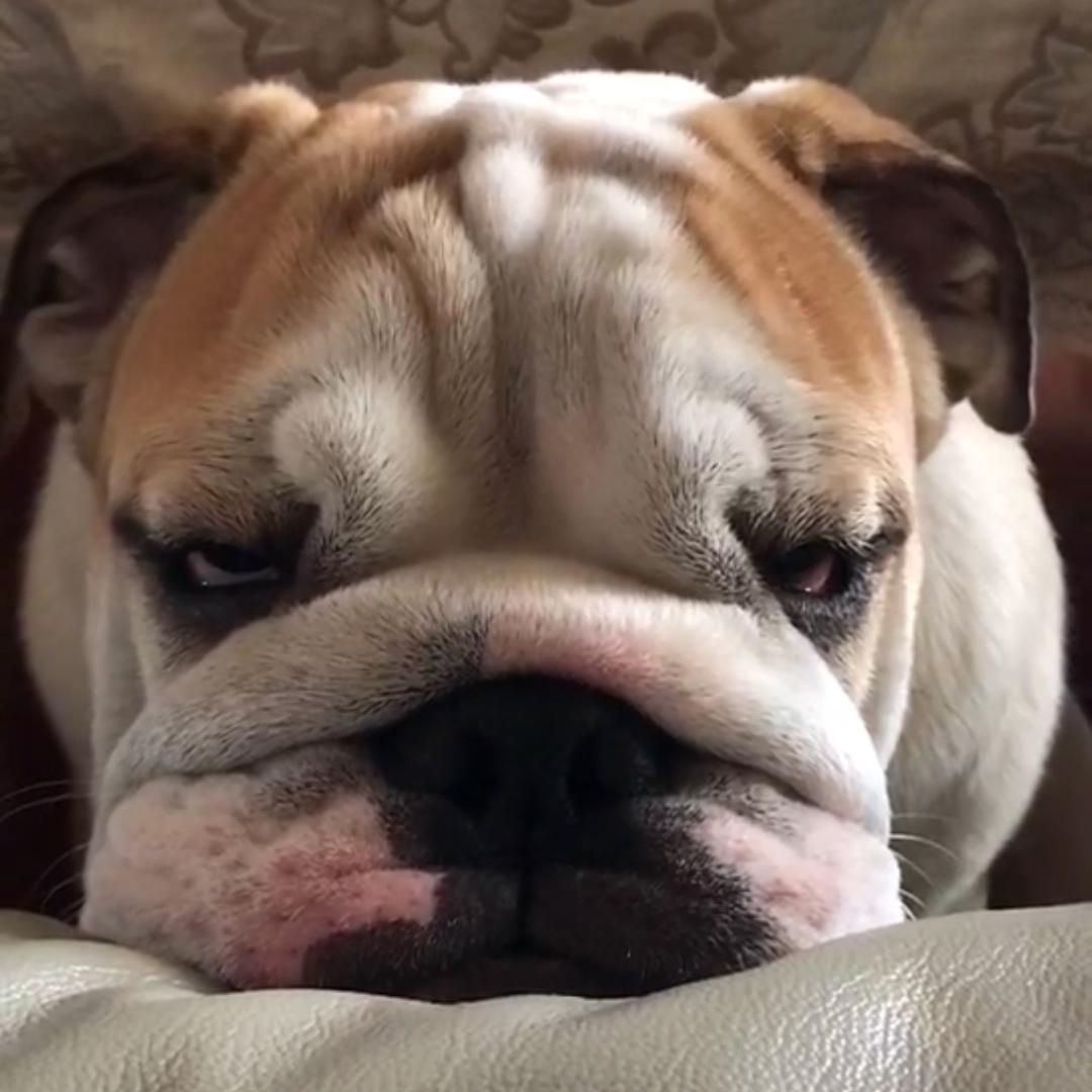 苗条的李富贵@抖音