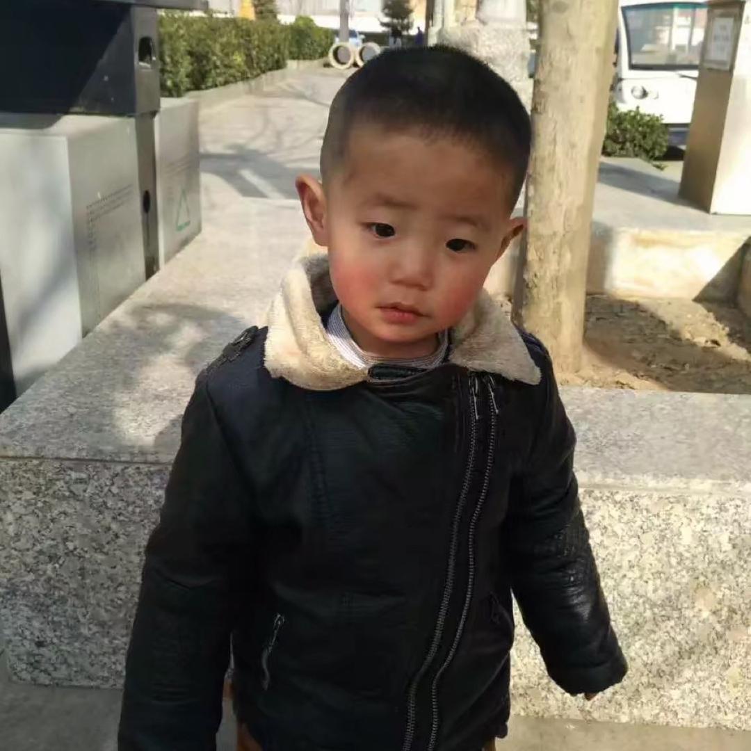 狗儿子