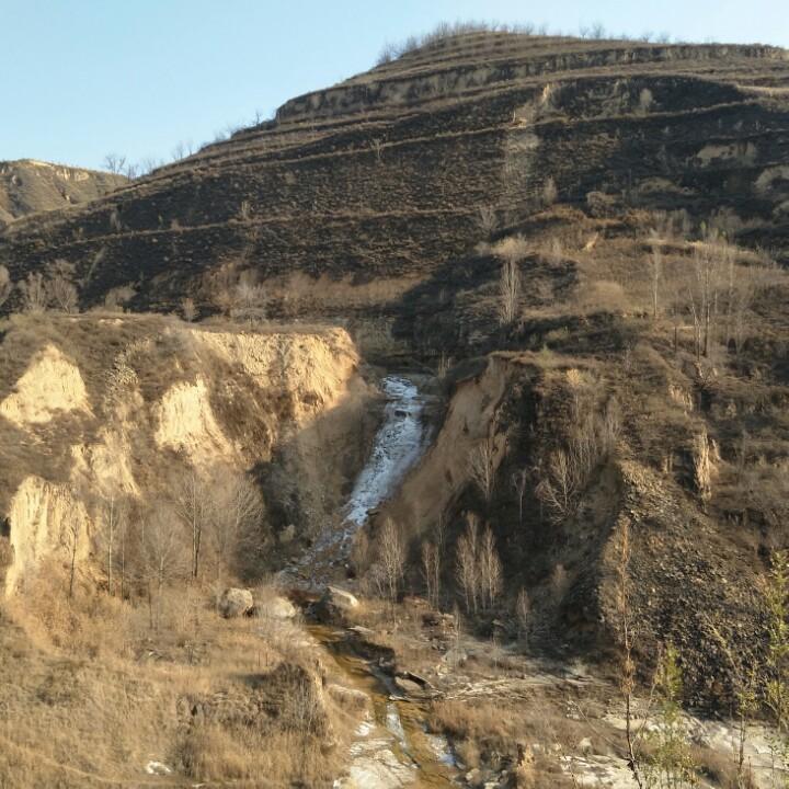 陕西榆林假老六