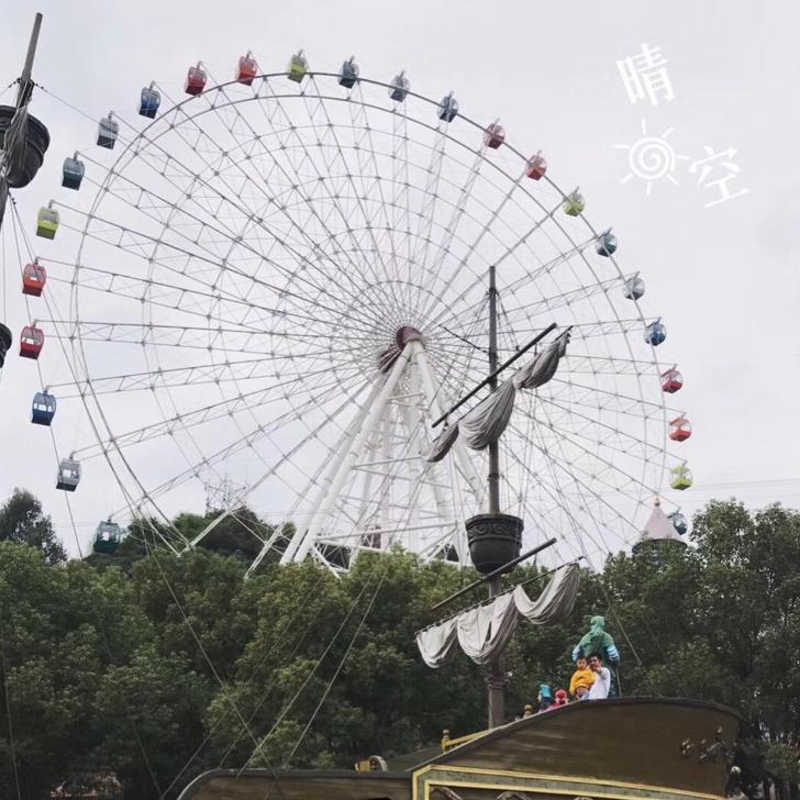 TP–金Sir
