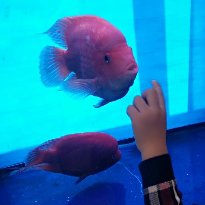驻马店阳光瓷砖魏娜