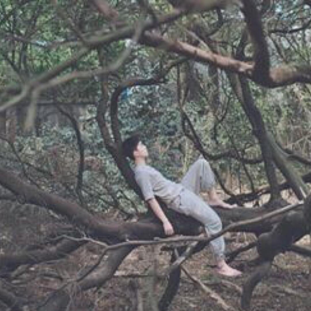 雨滴蝶