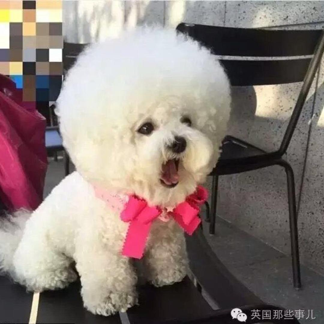 简丹爱❣